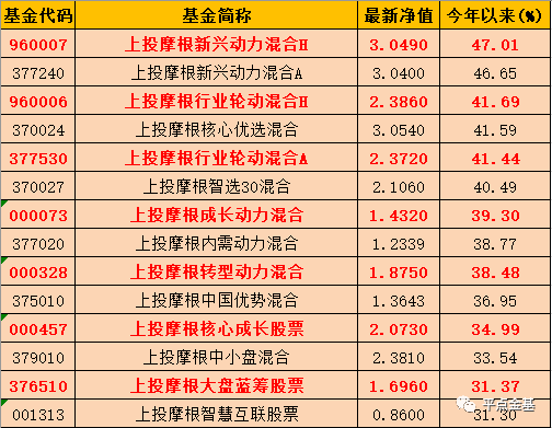 新奥门天天开奖资料大全-精选解释解析落实