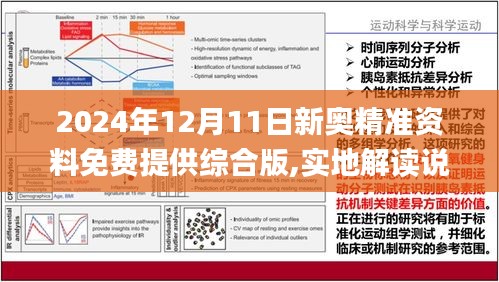 2024新奥资料免费精准061-词语释义解释落实